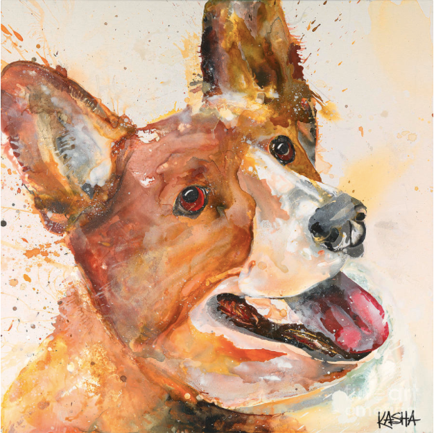 Corgi - Giclee Canvas Print by Kasha Ritter